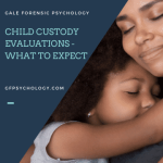 Child custody evaluations